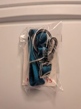 Harveys Seatbelt Keychain in the color Lagoon (model #1001-4002)